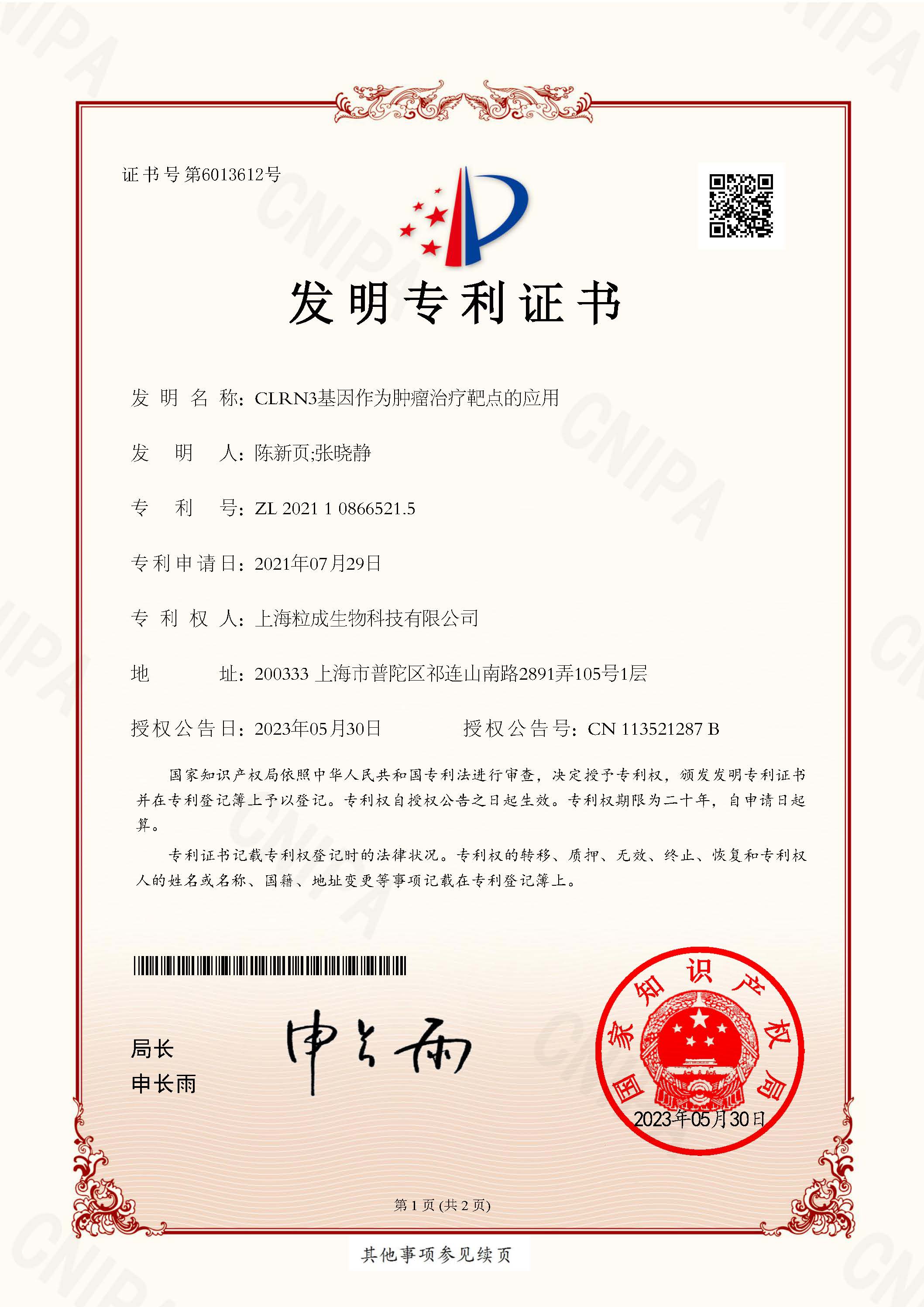CLRN3基因作为肿瘤治疗靶点的应用